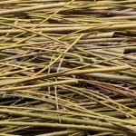 Zero Waste: Wohin mit Zweigen im Garten?