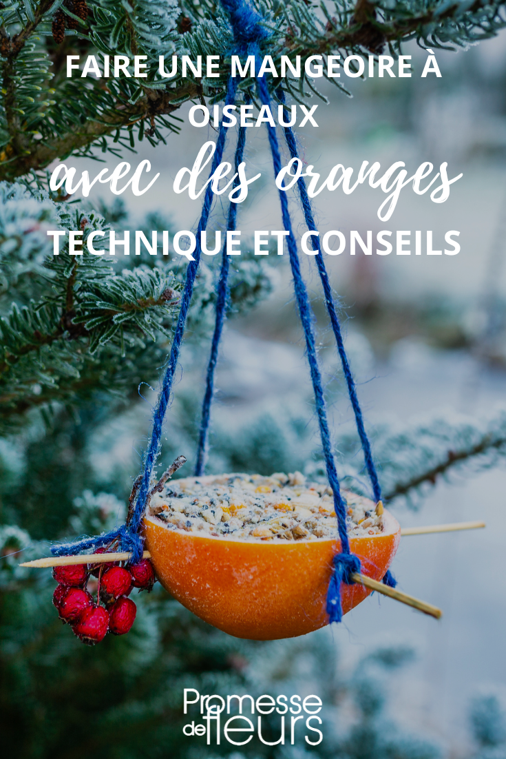 Futterstelle für Vögel aus Orangenschale