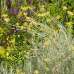 Slow Gardening