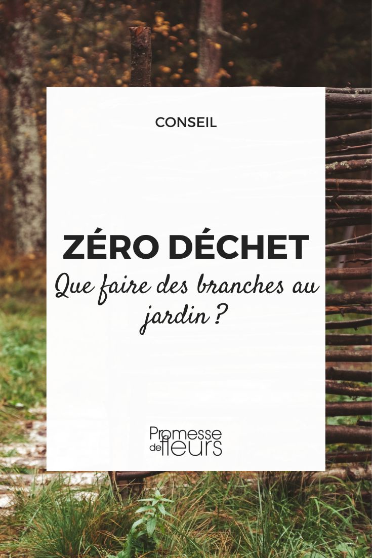 Zero Waste: Was tun mit Ästen im Garten?  

Im Garten fallen regelmäßig Äste an – sei es durch Baumschnitt, Sturm oder natürlichen Abwurf. Statt sie einfach zu entsorgen, gibt es viele nachhaltige Möglichkeiten, sie sinnvoll zu nutzen:  

### 1. **Mulchen**  
Zerkleinere die Äste mit einem Häcksler und verwende das Material als Mulch für Beete oder Wege. Das schützt den Boden, hält Feuchtigkeit zurück und unterdrückt Unkraut.  

### 2. **Kompostieren**  
Dünne Zweige und zerkleinerte Äste sind eine gute "braune" Komponente für den Kompost. Sie fördern die Belüftung und beschleunigen die Rotte.  

### 3. **Totholzhecke anlegen**  
Schichte Äste zu einer natürlichen Hecke auf – ein Paradies für Insekten, Vögel und Kleintiere.  

### 4. **Kreative Projekte**  
Aus stabilen Ästen lassen sich Rankhilfen, Gartenzäune oder sogar Möbel bauen. Dünnere Zweige eignen sich für Dekorationen wie Kränze oder Stützen für Pflanzen.  

### 5. **Feuerholz**  
Trockene Äste sind ideal für den Kamin oder Lagerfeuer – natürlich nur, wenn keine Verbotsregeln gelten.  

### 6. **Hügelbeet oder Benjeshecke**  
Größere Äste bilden das Grundgerüst für ein nährstoffreiches Hügelbeet oder eine windbrechende Benjeshecke.  

**Tipp:** Vermeide kranke oder von Schädlingen befallene Äste im Kreislauf – diese gehören in die Biotonne oder fachgerechte Entsorgung.  

Mit diesen Ideen werden Äste zu wertvollen Ressourcen – ganz im Sinne eines nachhaltigen Gartens! ????♻️