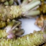 Wasabi anbauen