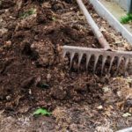 Doppeltes Warmbeet unter Schutz anlegen?