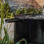 Regengarten oder Versickerungsgarten anlegen?