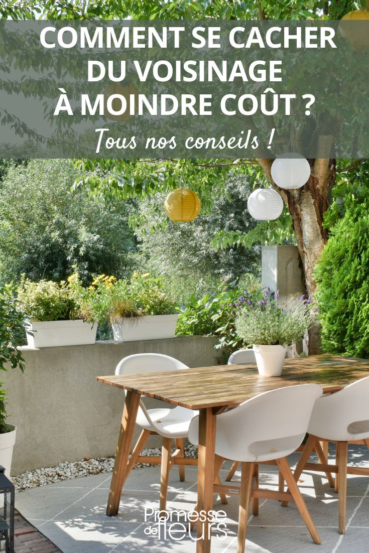 Privatsphäre im Garten oder auf der Terrasse schützen – auch mit kleinem Budget