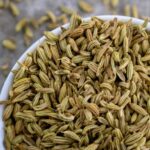Fenchelsamen ernten und lagern?