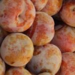 Pluot oder Aprikosenpflaume: beste Sorten