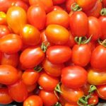 F1-Tomaten: Was bedeutet das?