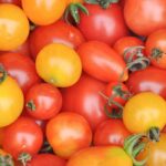 Kirschtomaten oder Cocktailtomaten wählen?