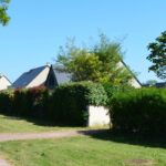 Heckensträucher fürs Reihenhausgrundstück wählen