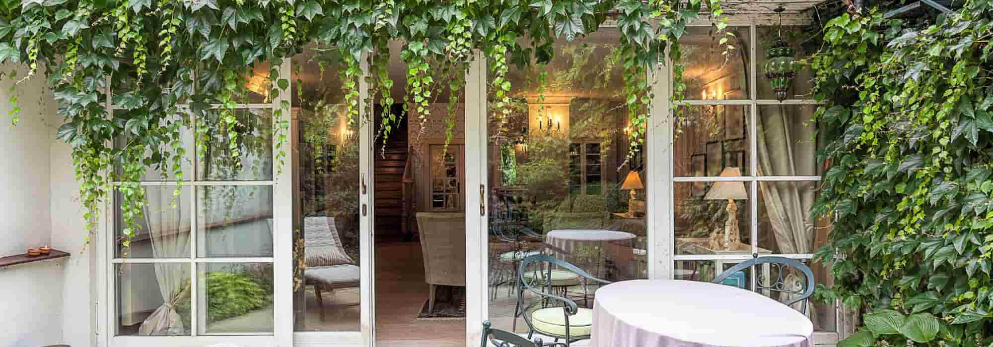 7 Blühpflanzen zum Überwintern im Wintergarten