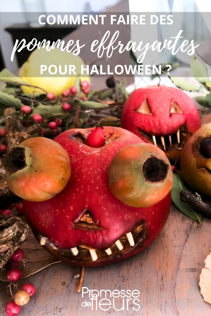 Natürliche Halloween-Dekorationen