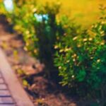 Solarenergie im Garten