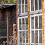 Nachbars Garten verwildert: Was tun?