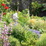 Garten günstig mit Stauden zum Blühen bringen