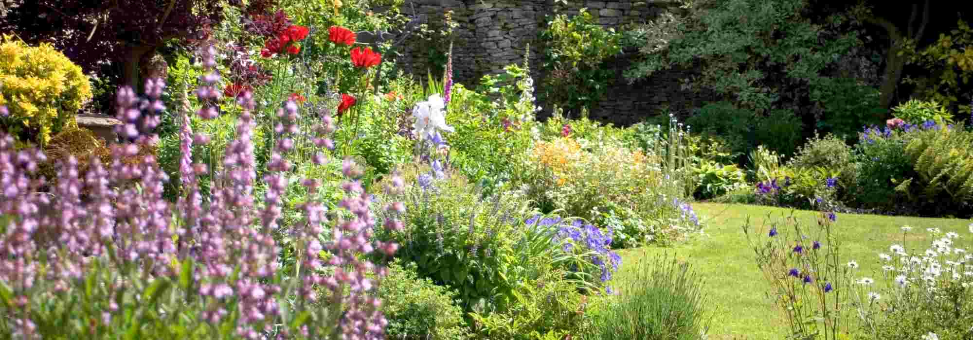 Garten günstig mit Stauden zum Blühen bringen