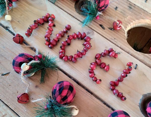 Oh oh oh! Natürliche Weihnachtsdeko mit Hagebutten gestalten?