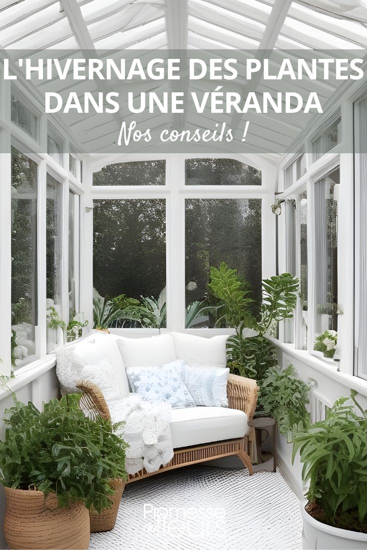 Unsere Tipps und Tricks zum Überwintern von frostempfindlichen Pflanzen im Wintergarten