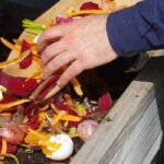 Nachhaltigen Garten gestalten?
