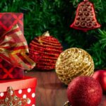 Nachhaltige Weihnachtsgeschenke: Gartenpflanzen