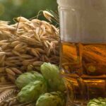 Die richtige Hopfensorte zum Bierbrauen wählen