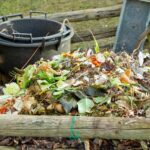 Kompost: 6 Wege, alles falsch zu machen?