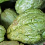 Chayote anbauen