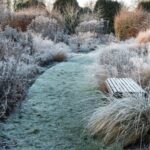 Gartenpflege im Winter verpatzen: 7 Lektionen?