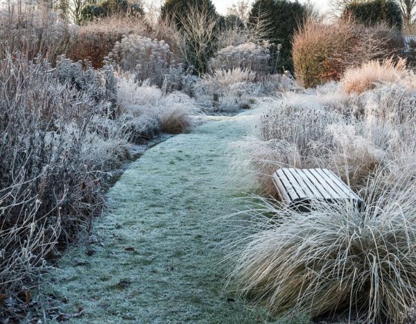 Gartenpflege im Winter verpatzen: 7 Lektionen?