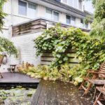 9 Pflanzen für eine moderne Terrasse