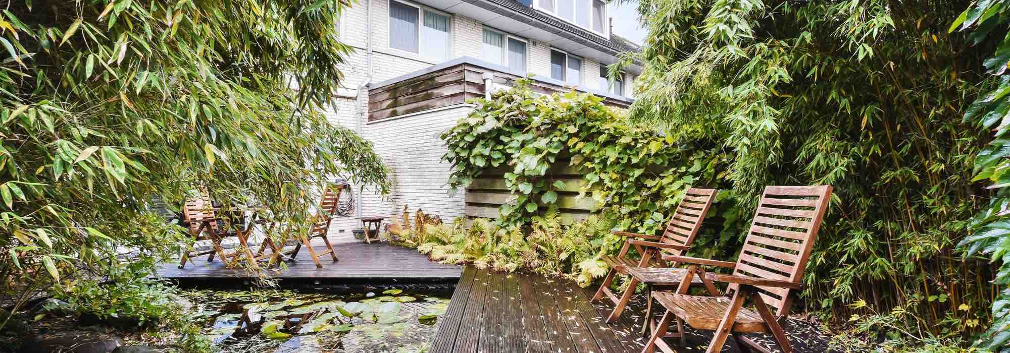 9 Pflanzen für eine moderne Terrasse