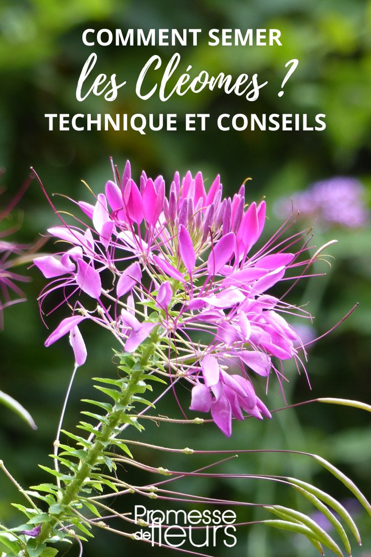 Tipps und Techniken