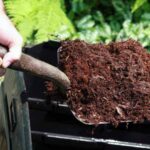 Kompost: Wo und wie richtig im Garten einsetzen?