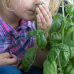 7 kreative Ideen: Mit Kindern ohne Garten gärtnern