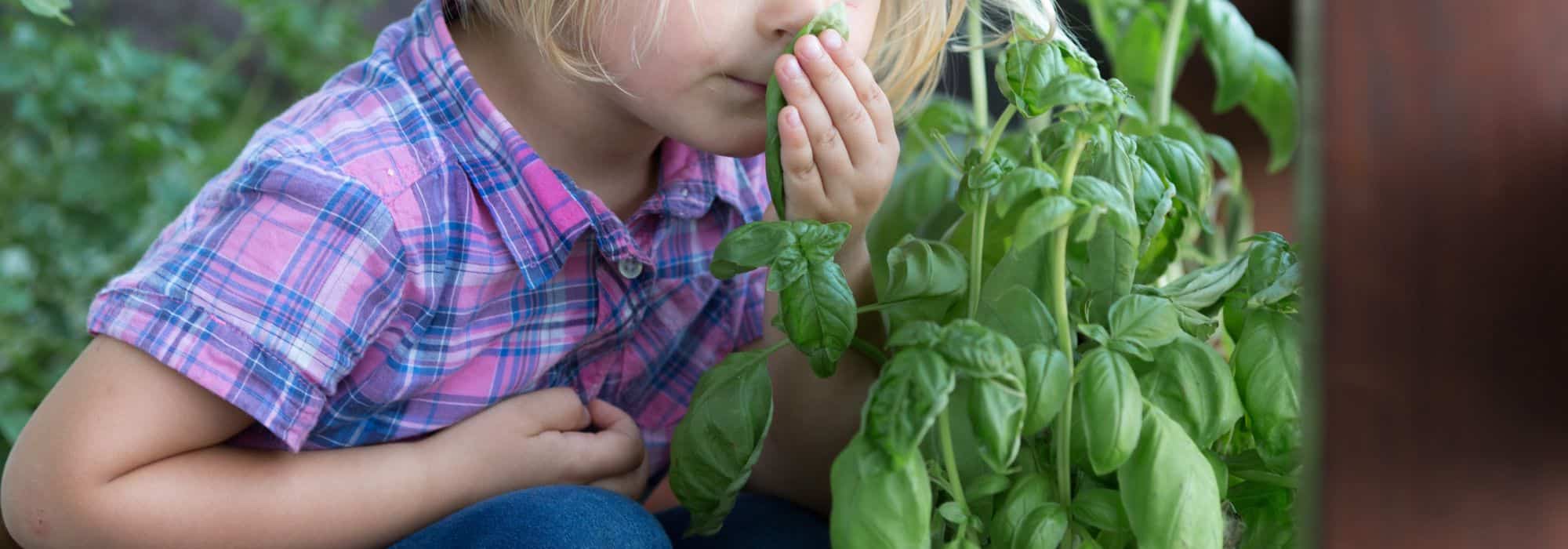 7 kreative Ideen: Mit Kindern ohne Garten gärtnern