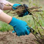 Handschuhe, Schutzbrille, Knieschoner: Sicher im Garten!