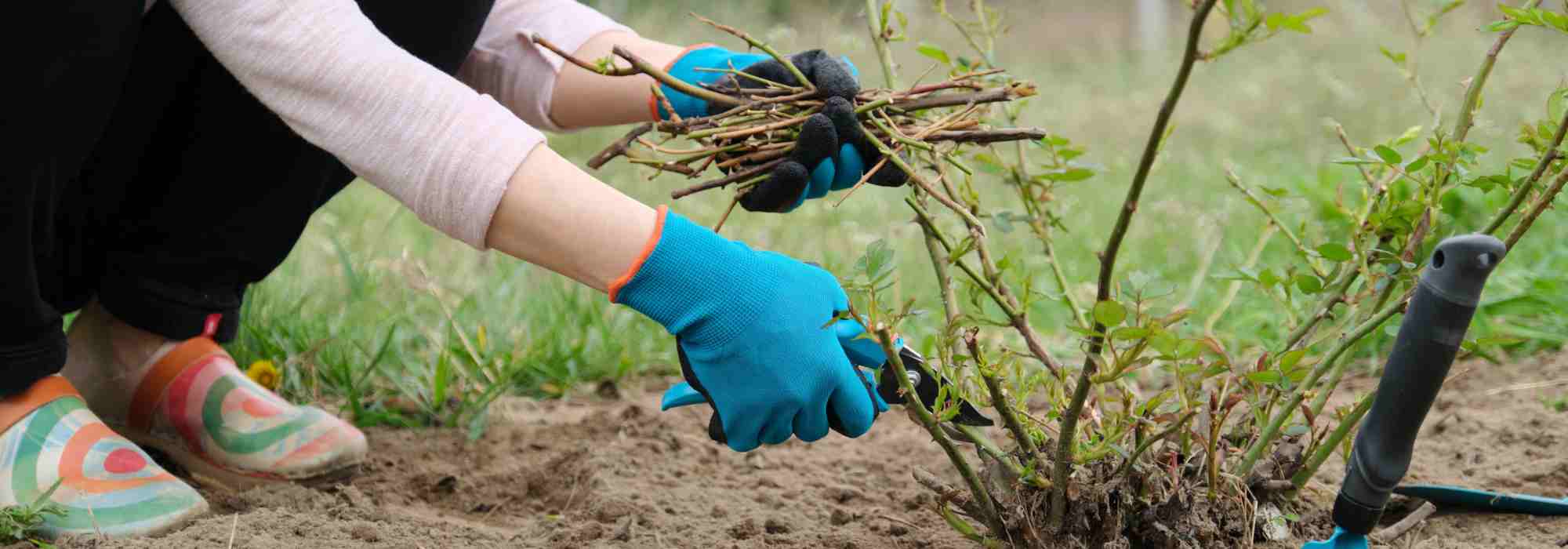 Handschuhe, Schutzbrille, Knieschoner: Sicher im Garten!