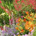 7 günstige Tipps für einen schönen Garten