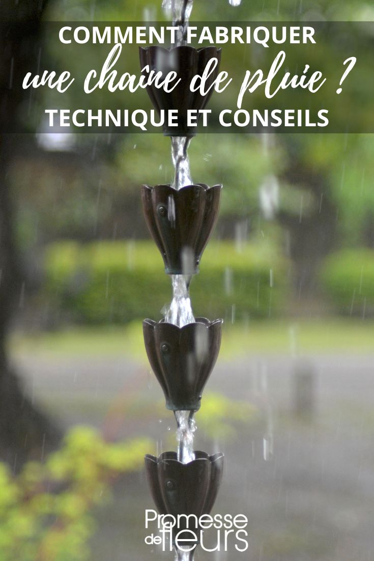 Regenrinne von Promesse de fleurs