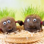 Graskopf basteln: lustige DIY-Idee für Kinder