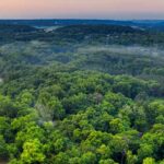 Kohlenstoffsenken: natürliche Hilfe gegen Klimawandel?