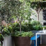 Terrasse im Wind: Tipps zur Gestaltung