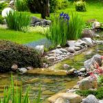 Gartenteich im Frühling pflegen