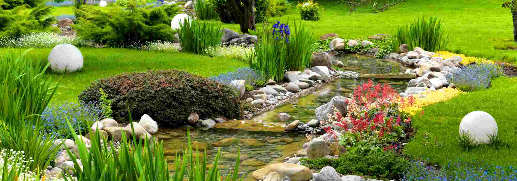 Gartenteich im Frühling pflegen