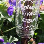 Ökologisch gärtnern: Pflanzschilder für Garten und Gemüsebeet selbst machen