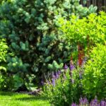 Garten in windiger Lage gestalten: 5 Tipps