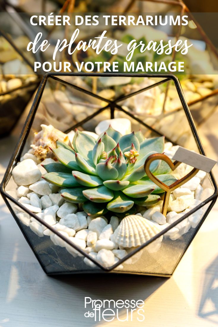 DIY für dekorative Mini-Terrarien