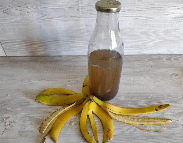Bananenschalenjauche herstellen?