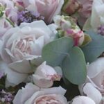 Die besten Rosen für zauberhafte, duftende Sträuße