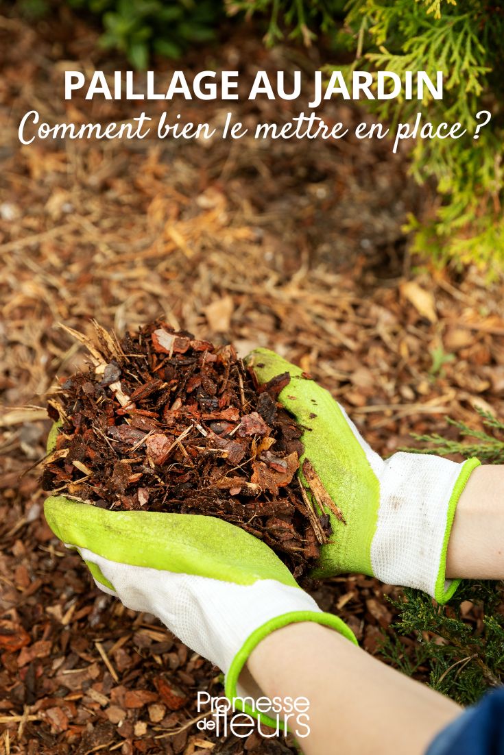 Mulchstärke im Garten