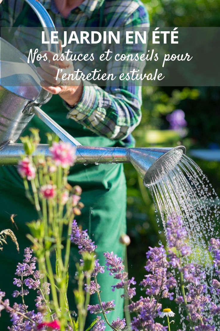Was im Sommer im Garten zu tun ist